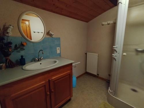 a bathroom with a sink and a mirror and a shower at Le Logis de bouillé in Bouillé-Courdault