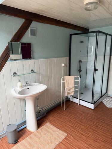 a bathroom with a sink and a glass shower at Gîte du petit niglo in Droyes