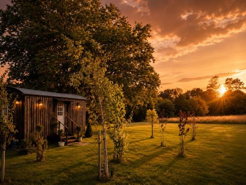 a small cabin in the middle of a field with trees at Mountbatten Shepherds hut & Buckhurst Shepherds hut in Ashford