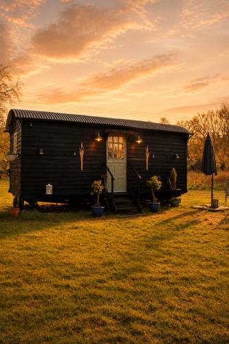 a black tiny house in a grassy field at Mountbatten Shepherds hut & Buckhurst Shepherds hut in Ashford