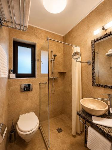 a bathroom with a toilet and a sink and a shower at Transylvania Villa & Spa in Gosau