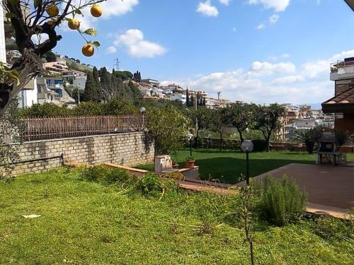 a view of a park with an orange hanging from a tree at villa marta in Formia
