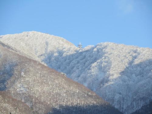 a view of a mountain with trees on it at Toi,toi,toi in Nozawa Onsen