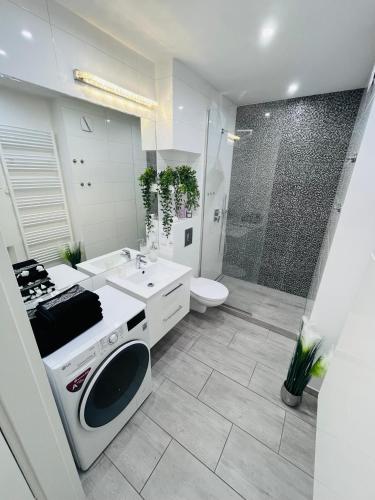 a bathroom with a sink and a toilet and a shower at Apartament Borys in Malbork