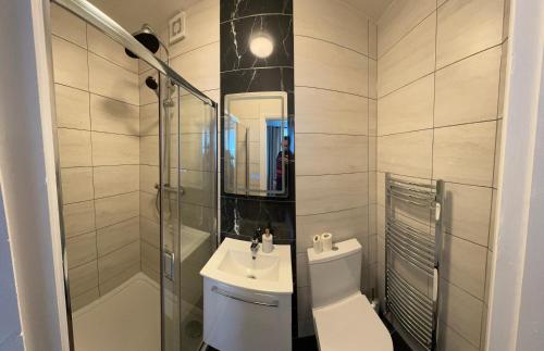 a bathroom with a toilet and a sink and a shower at Maya's Lodge in Dublin