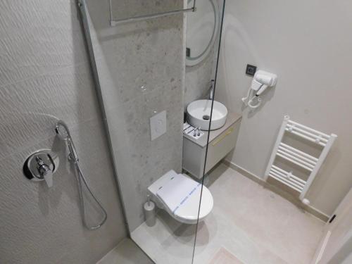 a small bathroom with a shower and a toilet at SFERA Boutique Rooms in Iaşi