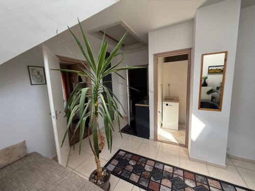 a living room with a potted plant in a room at Kovács Vendégház in Bük