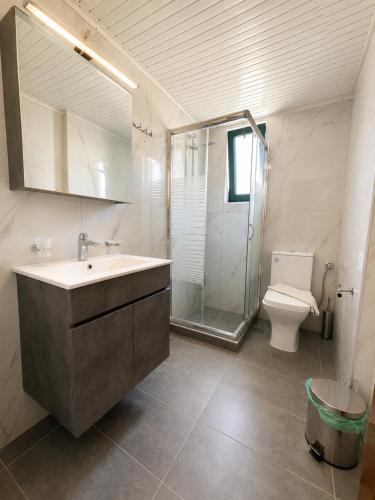 a bathroom with a sink and a shower and a toilet at 4Seasons Sfakia in Hora Sfakion