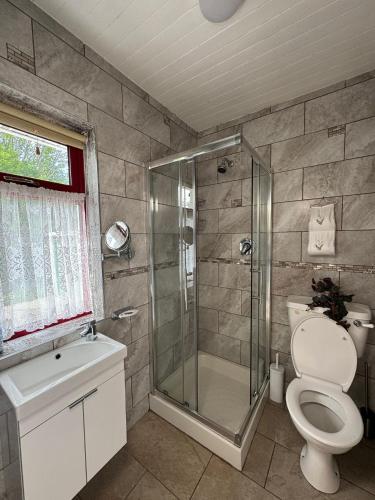 a bathroom with a shower and a toilet and a sink at Hannah's Cottage in Farranfore