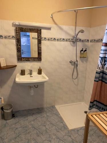a bathroom with a sink and a shower at Le Dauphiné in Châtillon-en-Diois