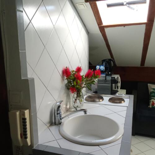 Studio atypique de charme
