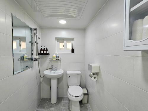 a white bathroom with a toilet and a sink at 행궁동-House2 in Suwon