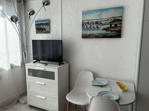 Appt Studio climatisé PORT CAMARGUE PC1020-132