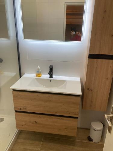 a bathroom with a sink and a mirror at Le Bec Rouge in Tignes