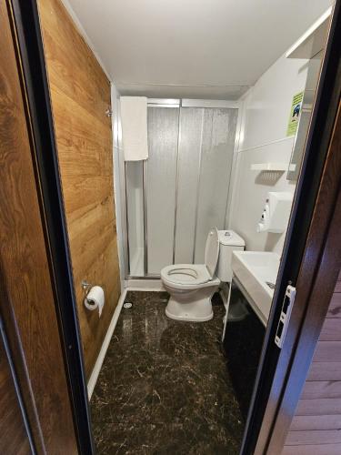 a bathroom with a toilet and a sink at HEVAS Suite in Ayder Yaylasi