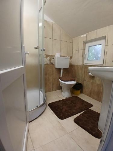 a bathroom with a shower and a toilet and a sink at Cabana La Marian in Munună