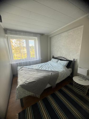 a bedroom with a bed and a window and a rug at Hubane korter järve kaldal in Värska