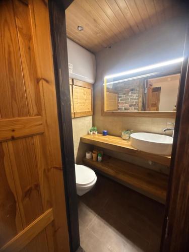 a bathroom with a toilet and a sink at Hubane korter järve kaldal in Värska