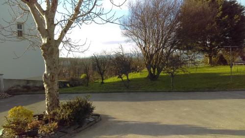 a tree in a parking lot next to a park at Daleview Apartment in Manorcunningham