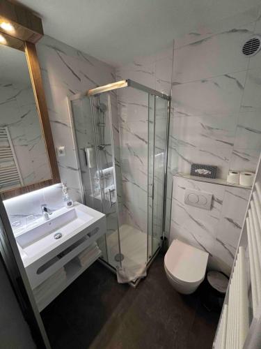 a bathroom with a shower and a toilet and a sink at Hotel Alpina in Kranjska Gora