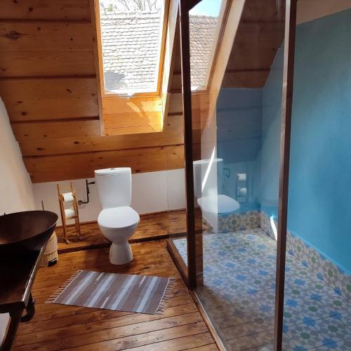 a bathroom with a toilet and a glass wall at Verde de Viscri in Viscri