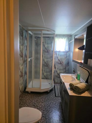 a bathroom with a shower and a toilet and a sink at Fjord & Fjell Idyll in Tunheim