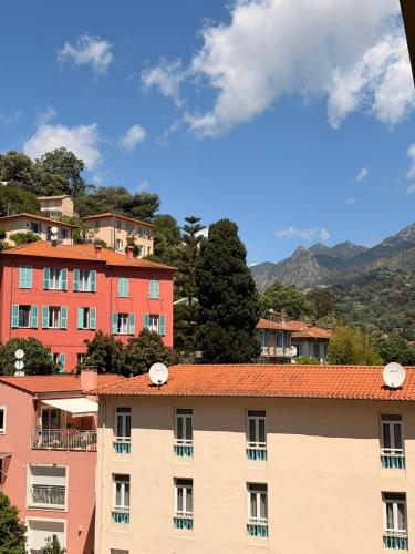 Le Landelle Azur - Studio Lumineux à Menton