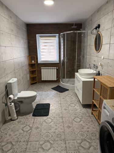 a bathroom with a toilet and a shower and a sink at Dom Nad Brzegiem Wisły in Mozolice Małe