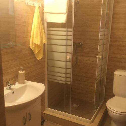 a bathroom with a shower and a sink and a toilet at La Păstrăvărie ,,Casa Iov,, in Moroeni