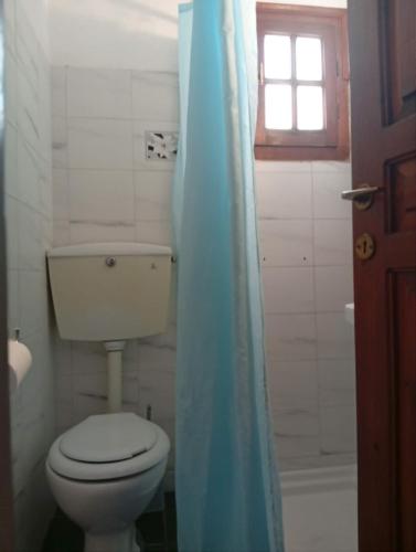 a bathroom with a toilet and a blue shower curtain at Irida mariaSmall studio in Agios Ioannis Pelio