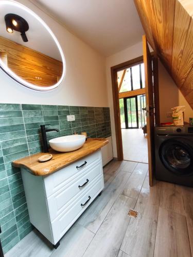 a bathroom with a sink and a washing machine at Transylvantures Cabin in Rimetea