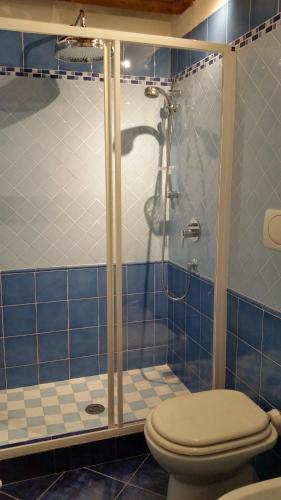 a blue tiled bathroom with a toilet and a shower at Villa Sofia in Marina di Campo