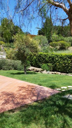 a tree in the grass next to a sidewalk at Villa Sofia in Marina di Campo