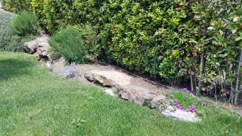 a garden with a hedge and flowers in the grass at Villa Sofia in Marina di Campo