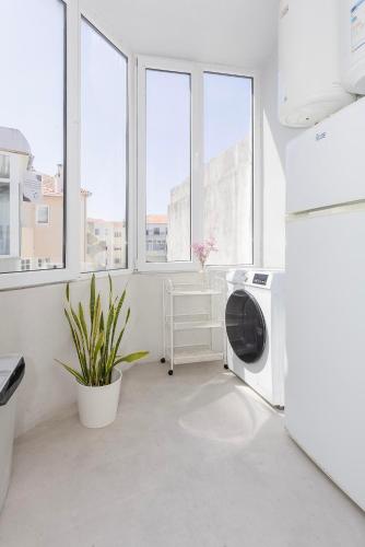 Santa Catarina Lively Apartment by Liiiving