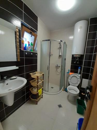 a bathroom with a shower and a sink and a toilet at Apartment Sommer-Tango in Byala