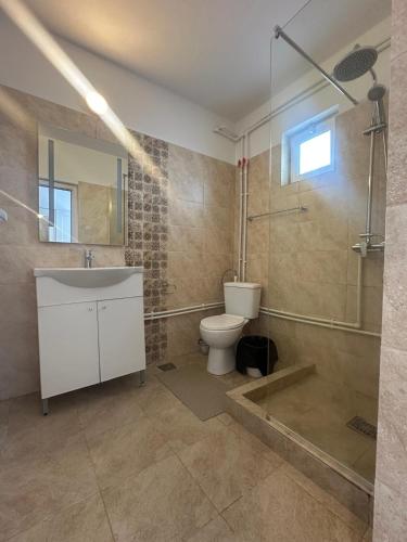 a bathroom with a toilet and a shower and a sink at Vila DVG Tineret in Schitul