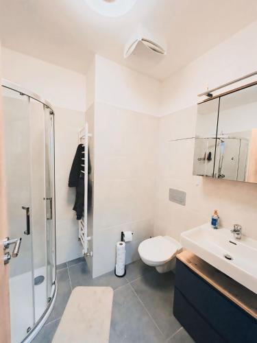 a bathroom with a toilet and a sink and a shower at Serenity Apartment in Mariánské Lázně