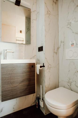 a bathroom with a toilet and a sink and a mirror at Tiny Cabana in Scharendijke