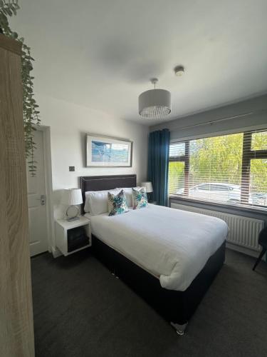 a bedroom with a large bed and a window at Robin Hill Bed and Breakfast in Curracloe