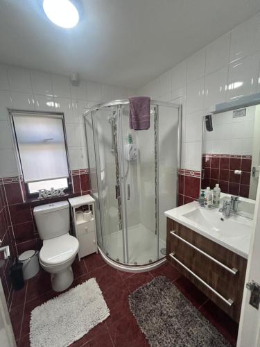 a bathroom with a shower and a toilet and a sink at Robin Hill Bed and Breakfast in Curracloe