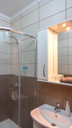a bathroom with a sink and a glass shower at Tolcsvai Fogadó in Tolcsva