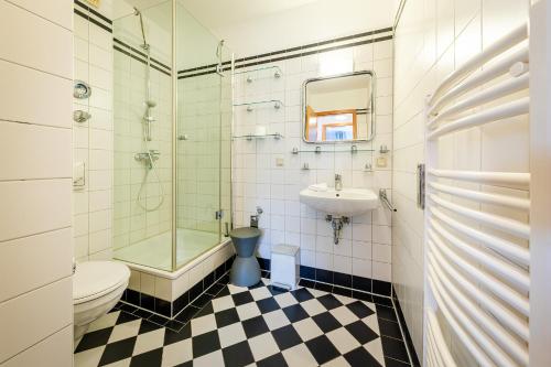 a bathroom with a shower toilet and a sink at Anker Haus Sanddorn in Althagen