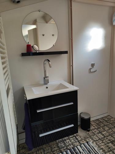 a bathroom with a sink and a mirror at Vakantiewoning Deltahof in Ellewoutsdijk
