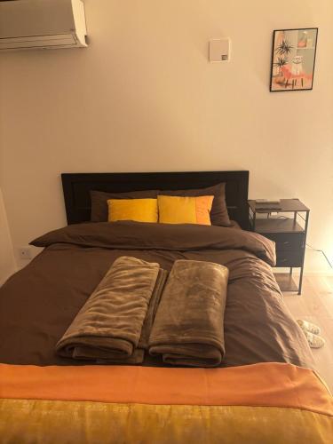 Newly Built Private Tokyo Villa Beauty House near Asakusa & Skytree