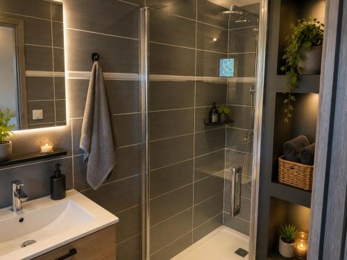 a bathroom with a shower and a sink at Casa Versini in Balogna