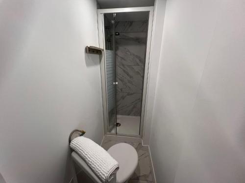 a bathroom with a toilet and a glass shower at Studio Opale in Lille