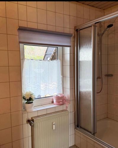 a bathroom with a window with a plant on a shelf at Historisches Winzerhaus Lieser in Lieser