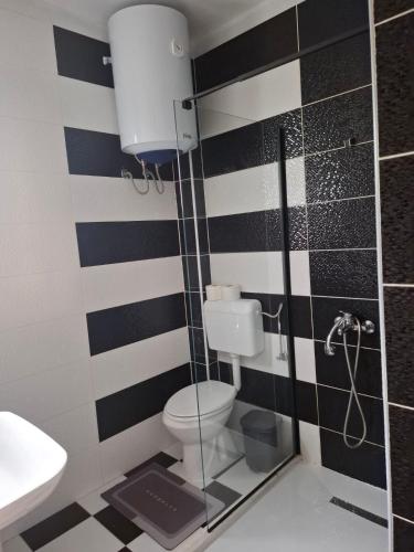 a bathroom with a toilet and a shower at Dara Apartmani in Donji Štoj