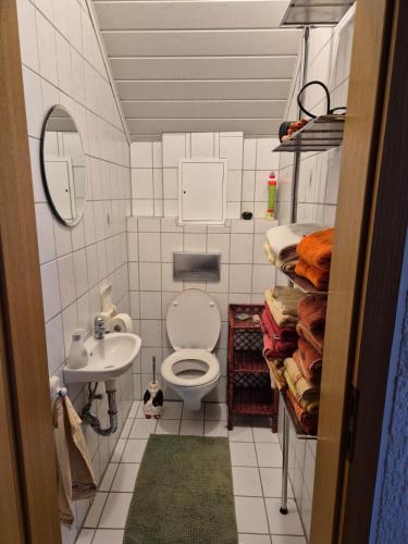 a small bathroom with a toilet and a sink at Ferienwohnung Lechner in Treffelstein